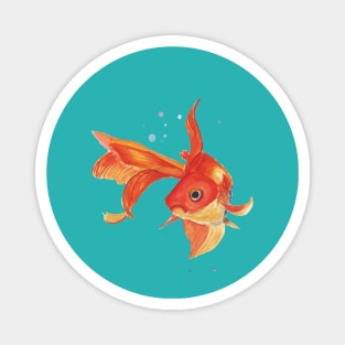 Goldfish Magnet